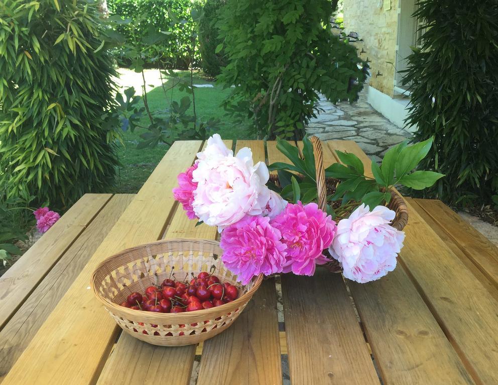 Le Balcon Des Jasses Bed and Breakfast Espere Exteriör bild